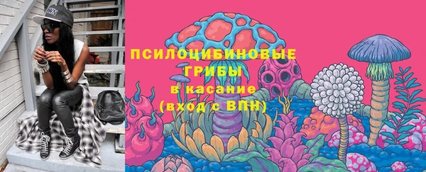 ECSTASY Горно-Алтайск